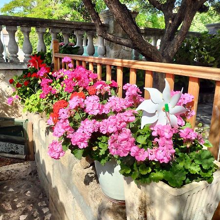 Charmant Appart Avec Jardin إج مورت المظهر الخارجي الصورة