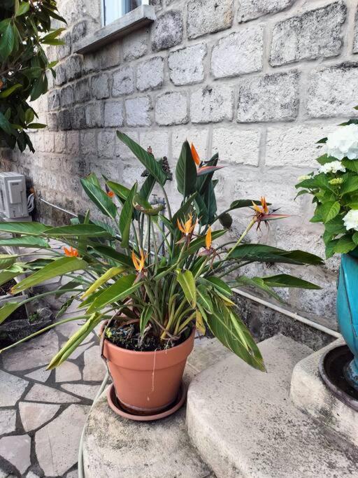 Charmant Appart Avec Jardin إج مورت المظهر الخارجي الصورة