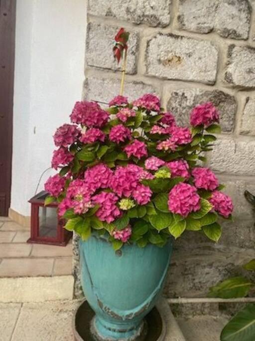 Charmant Appart Avec Jardin إج مورت المظهر الخارجي الصورة