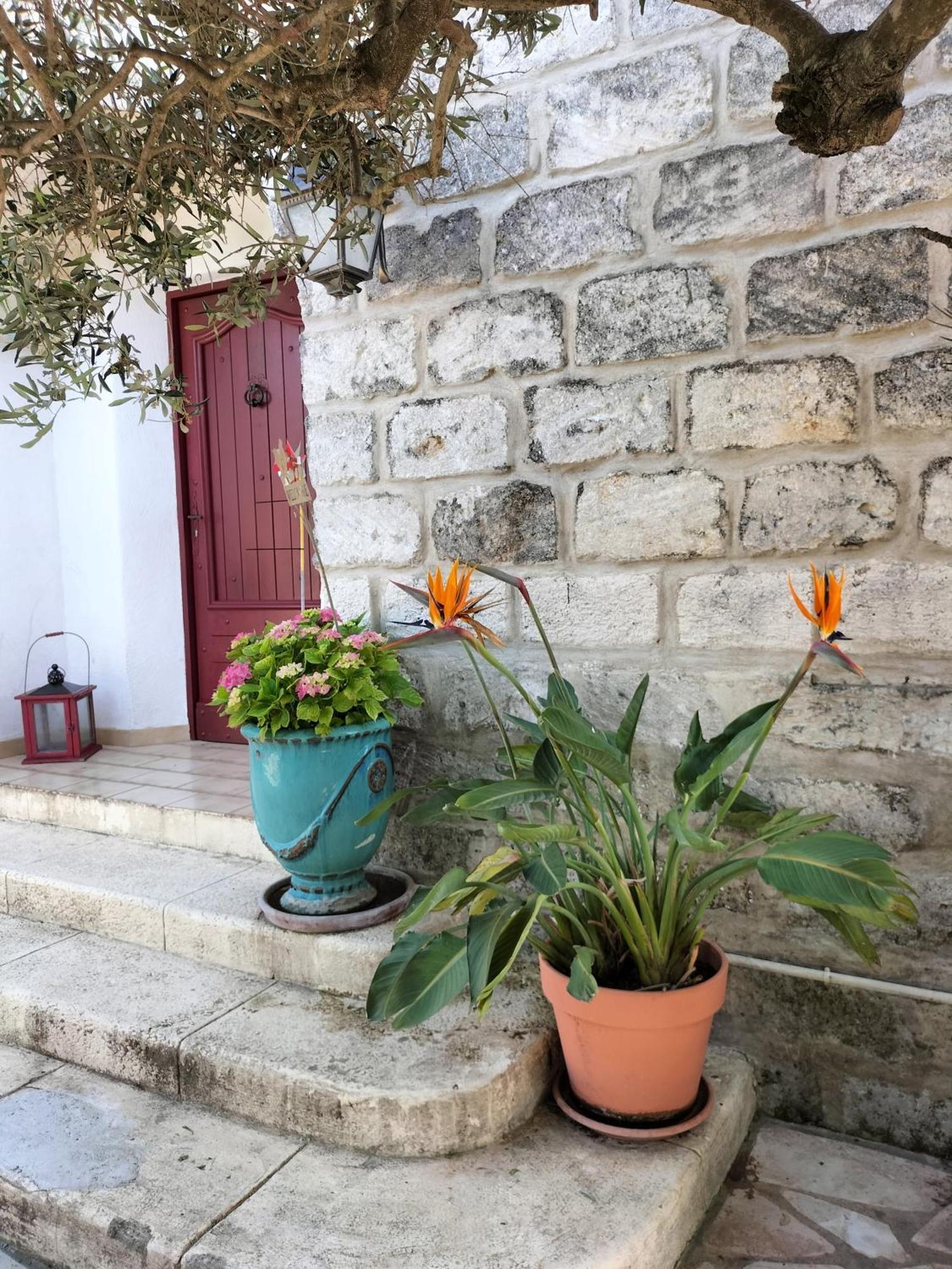 Charmant Appart Avec Jardin إج مورت المظهر الخارجي الصورة