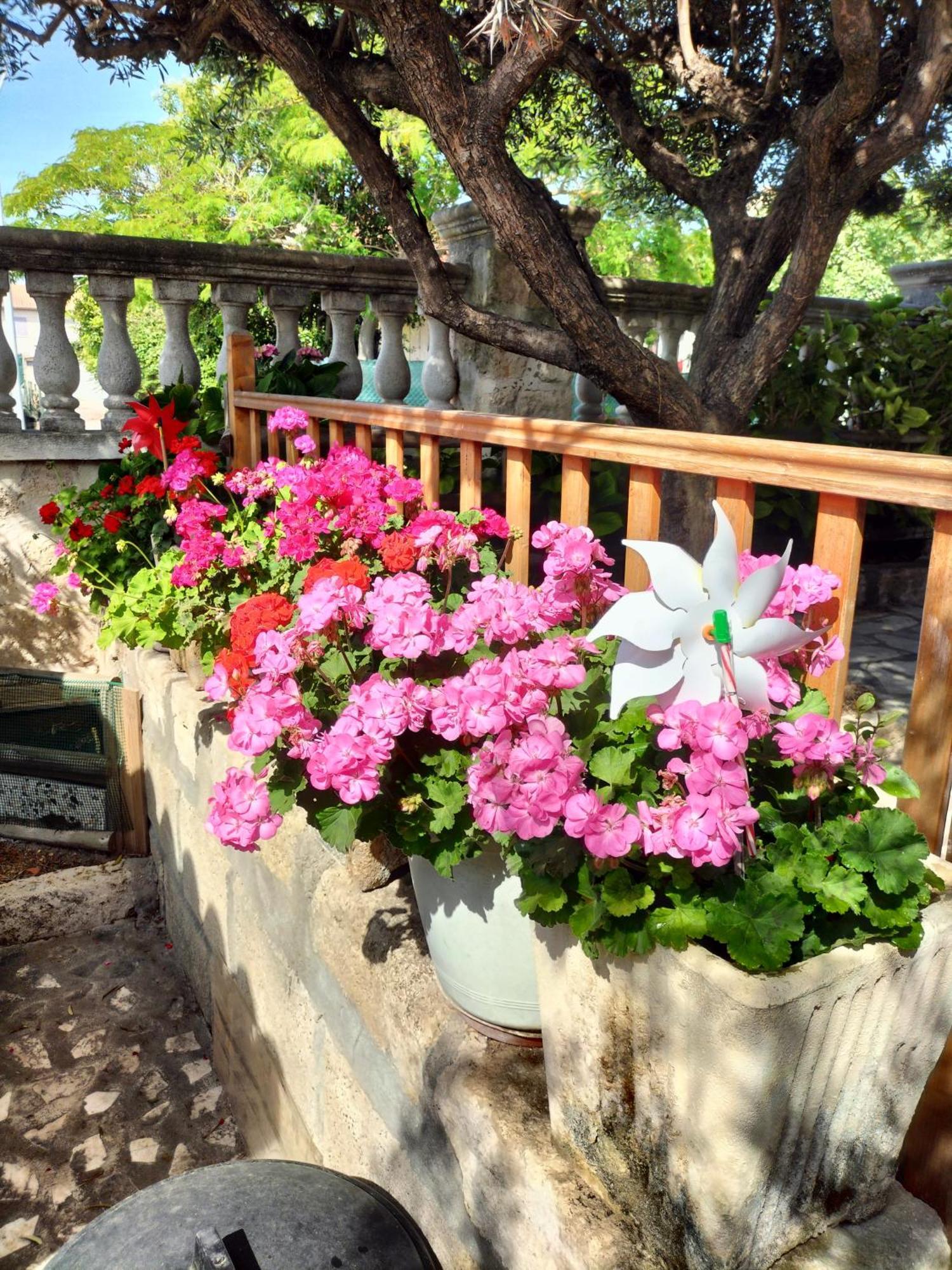 Charmant Appart Avec Jardin إج مورت المظهر الخارجي الصورة